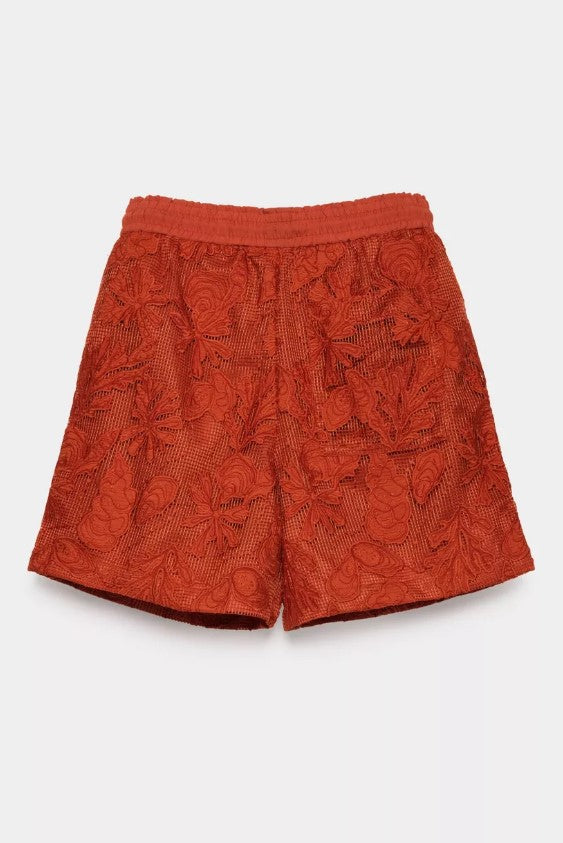 Shorten rood CKS