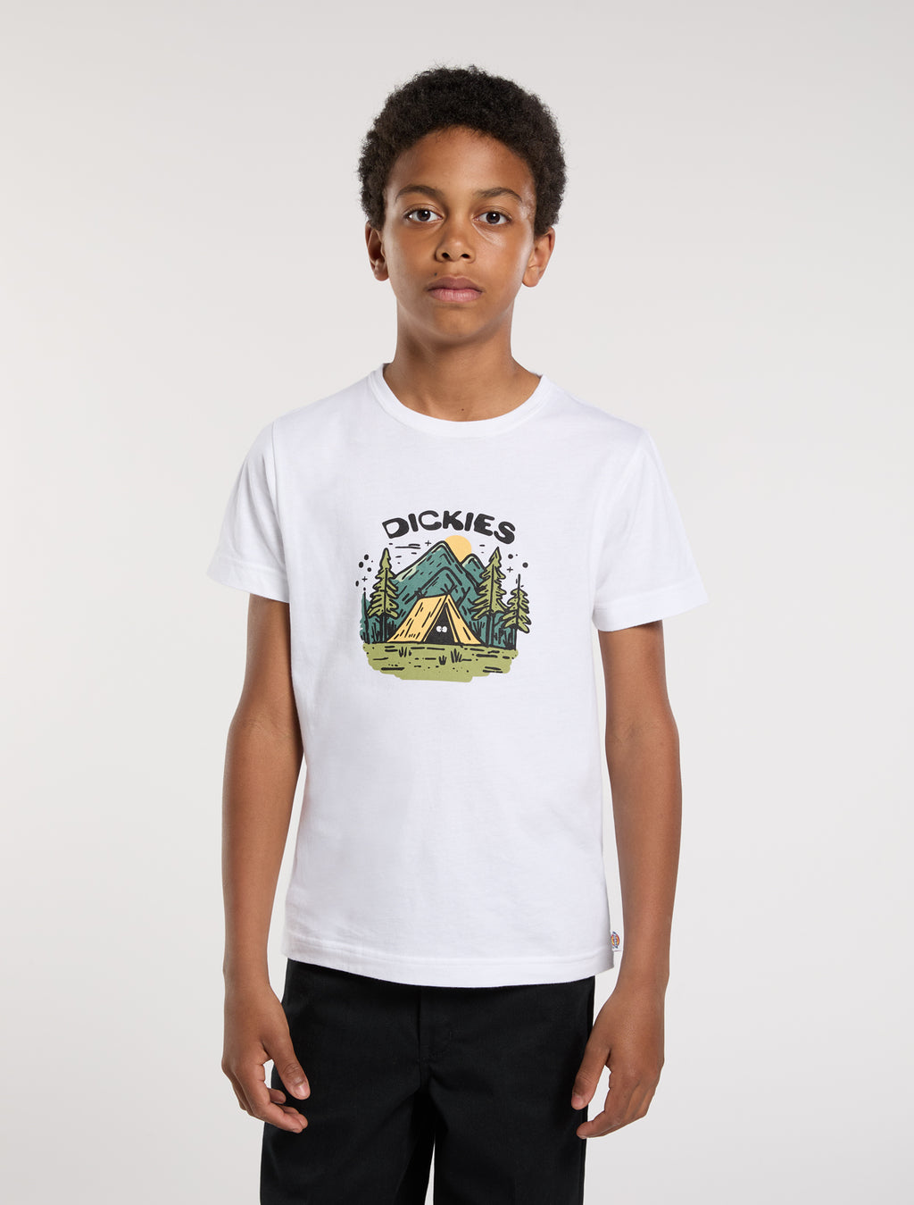 T-shirts korte mouw wit Dickies