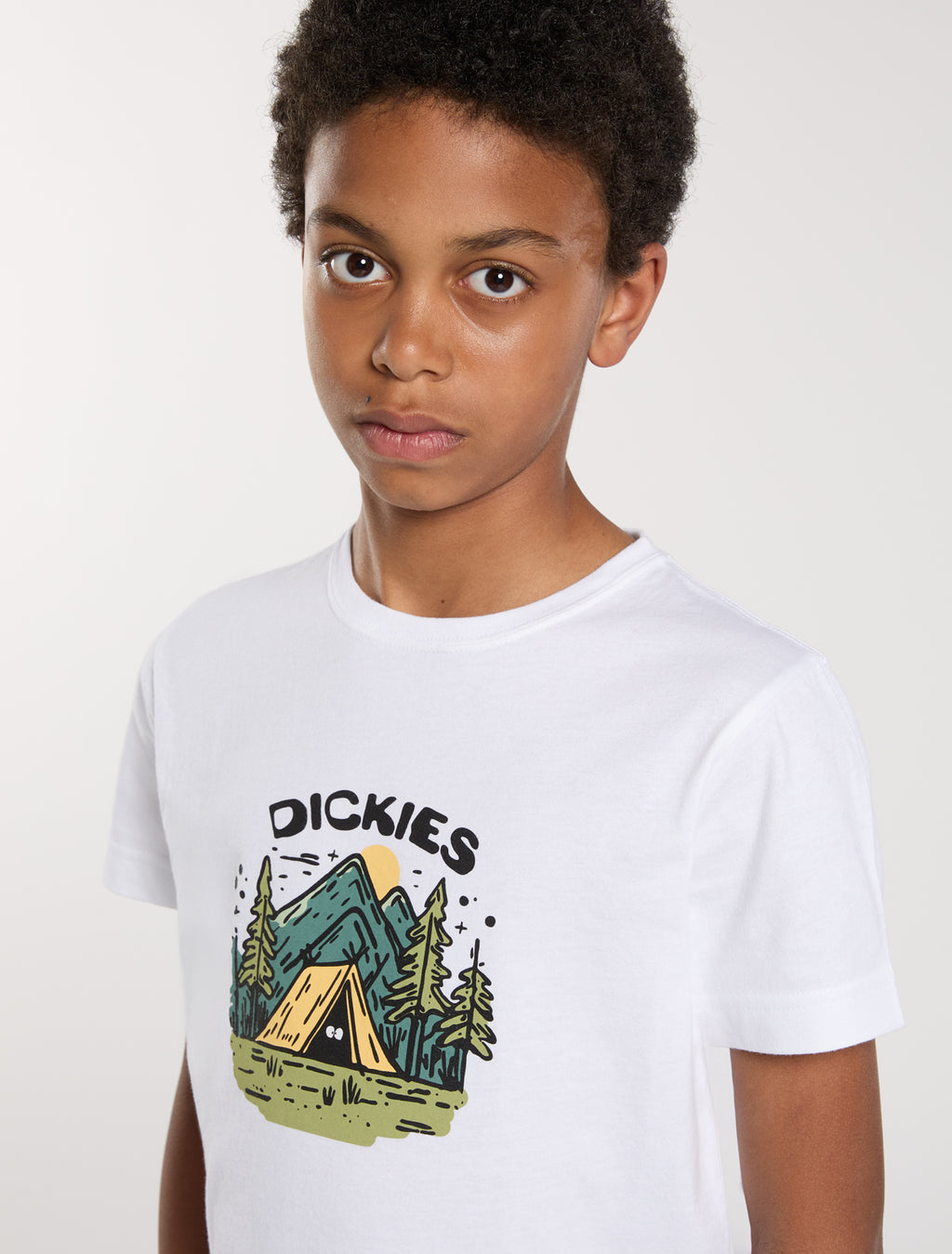T-shirts korte mouw wit Dickies
