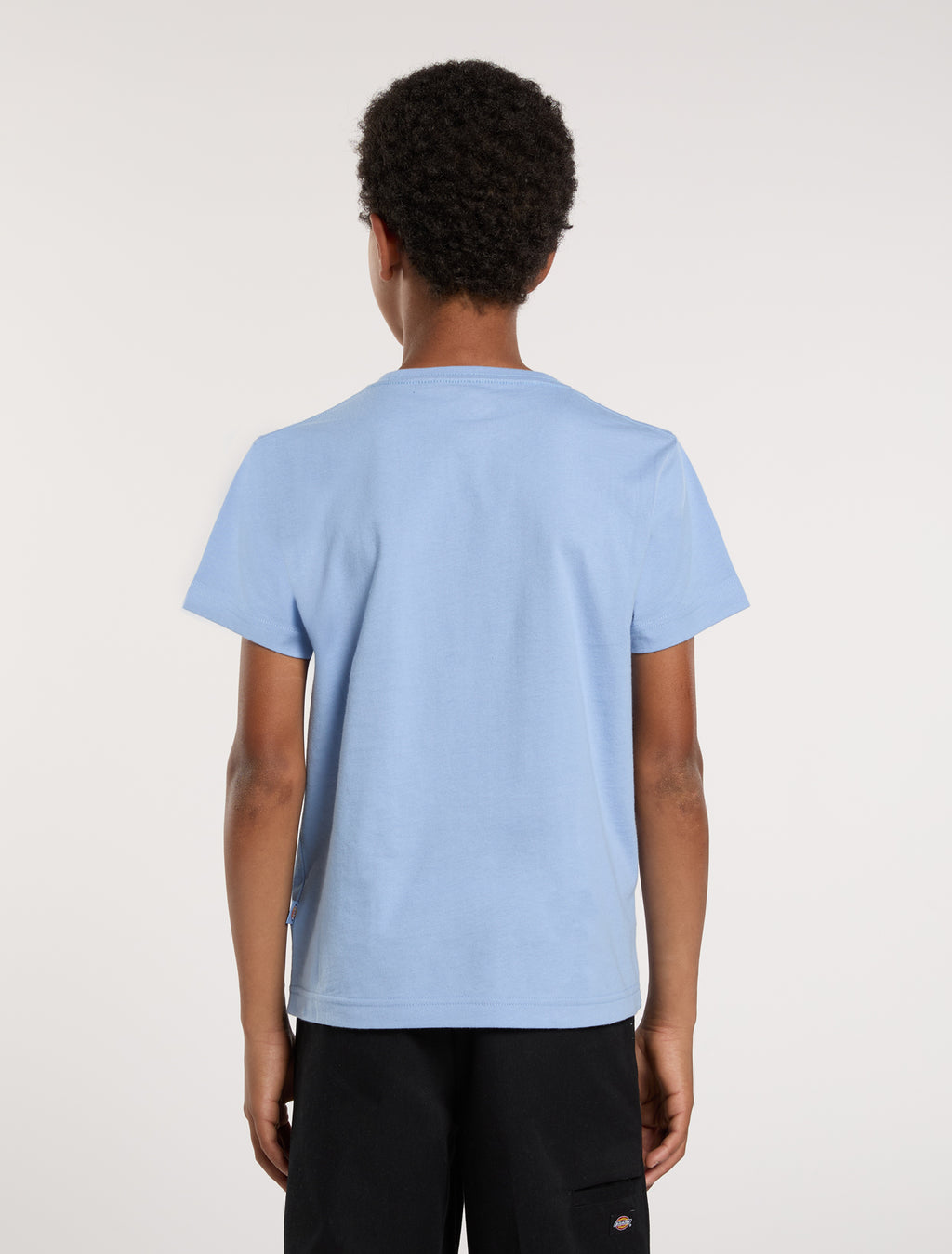T-shirts korte mouw blauw Dickies