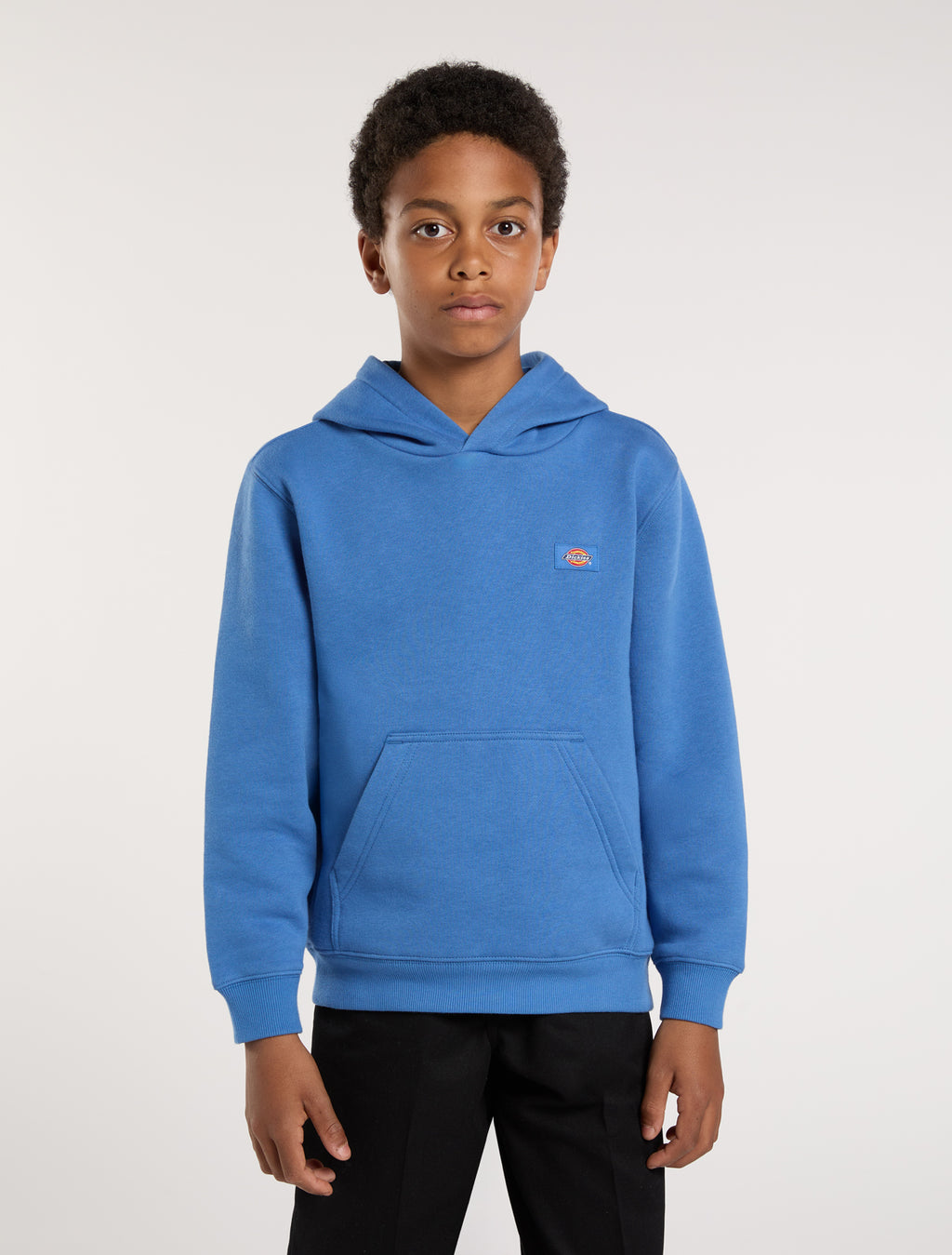 Sweaters blauw Dickies