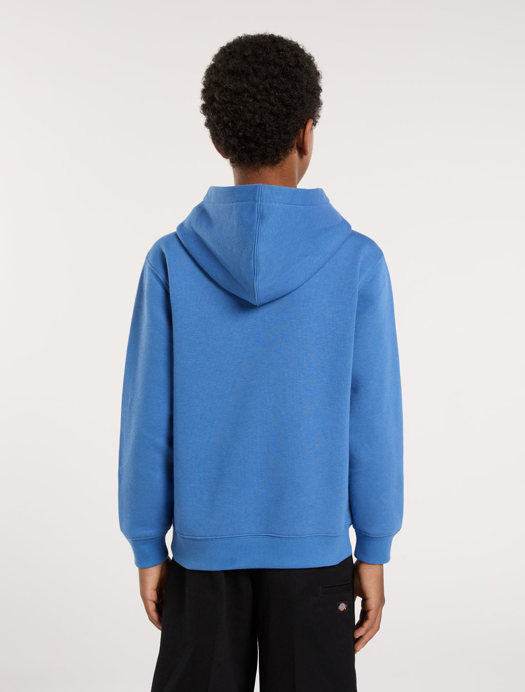 Sweaters blauw Dickies