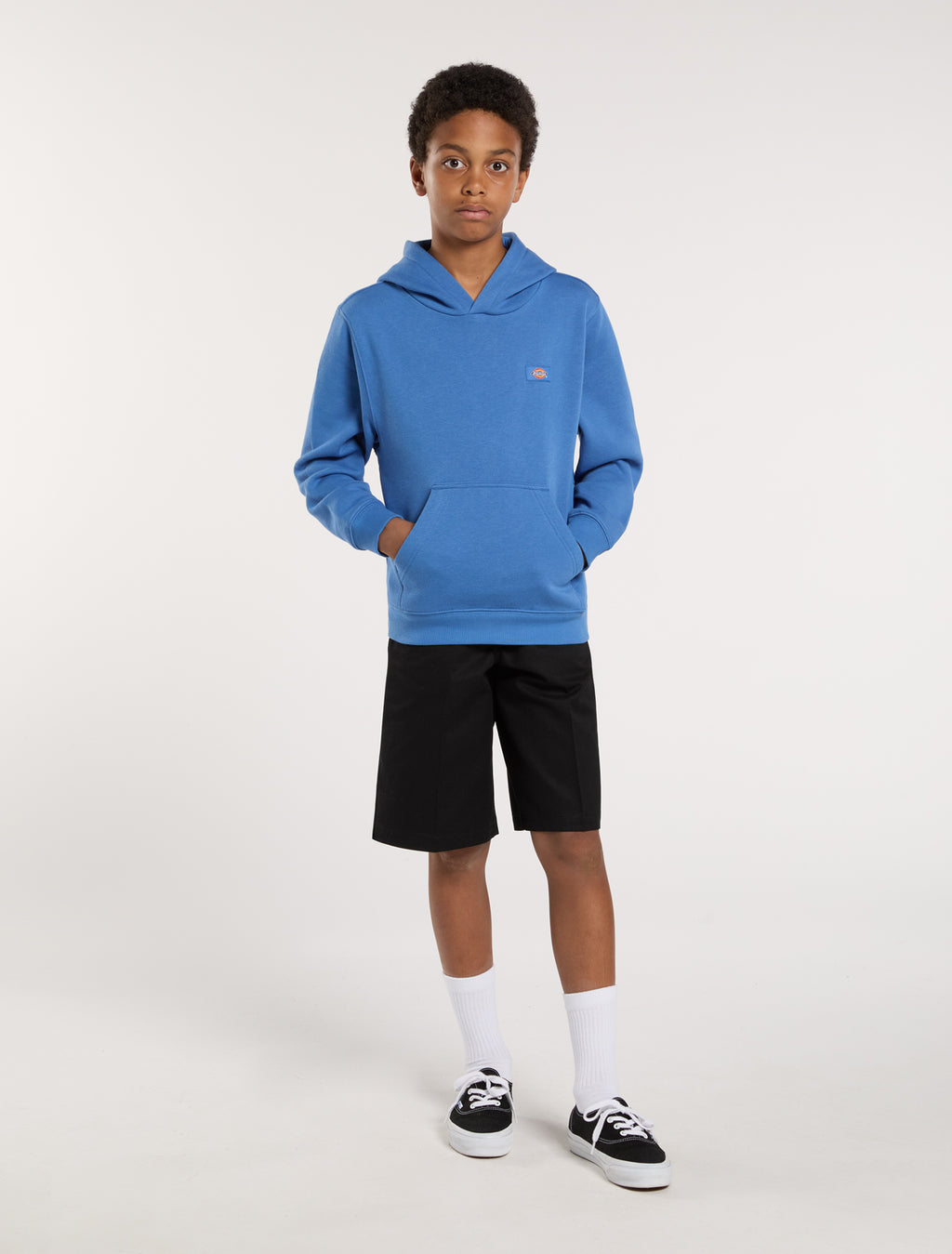 Sweaters blauw Dickies