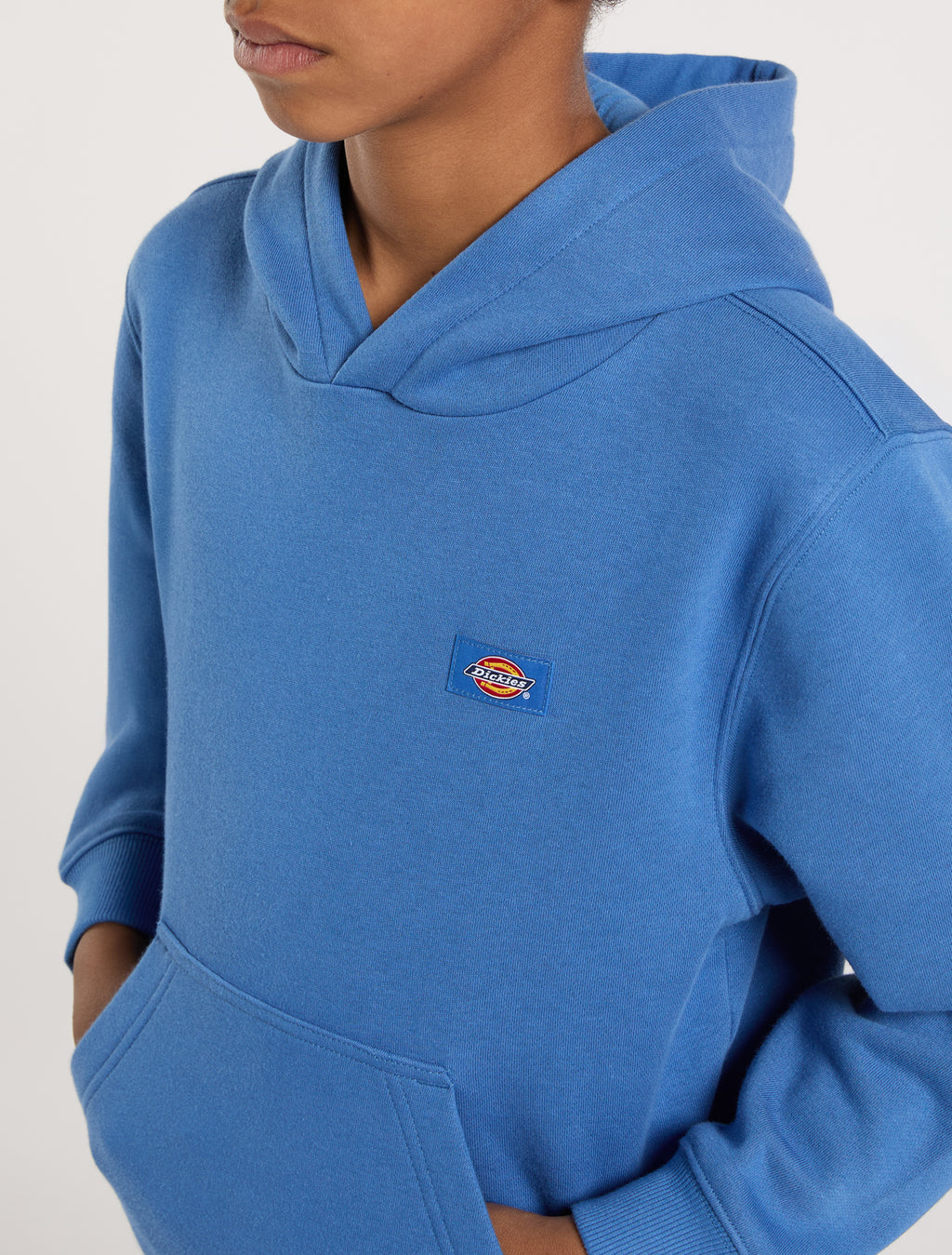 Sweaters blauw Dickies