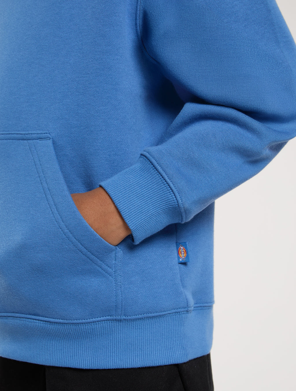 Sweaters blauw Dickies