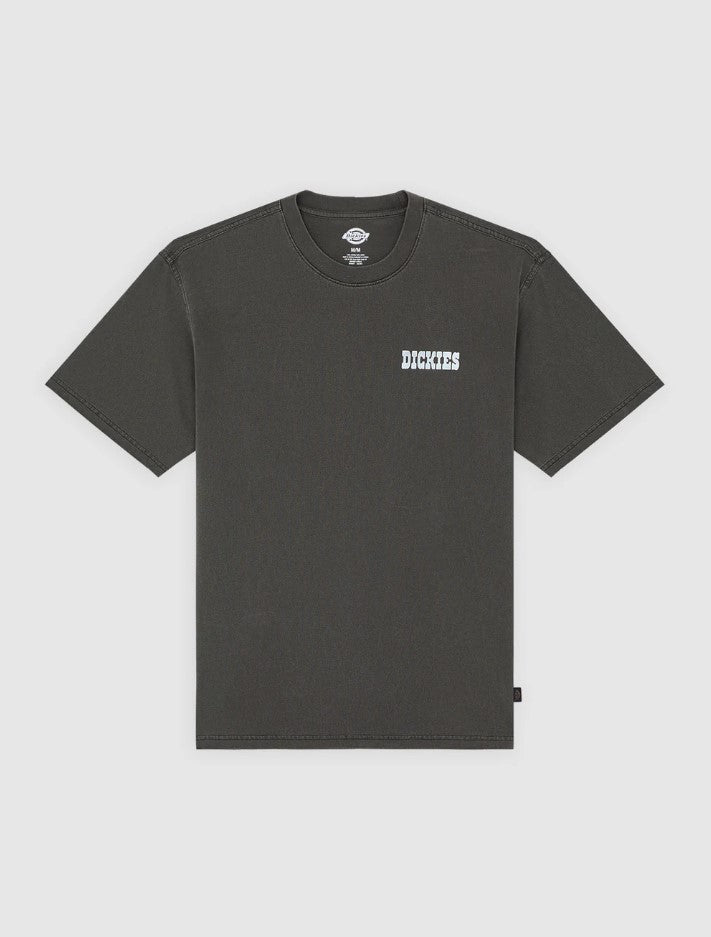 T-shirts korte mouw zwart Dickies