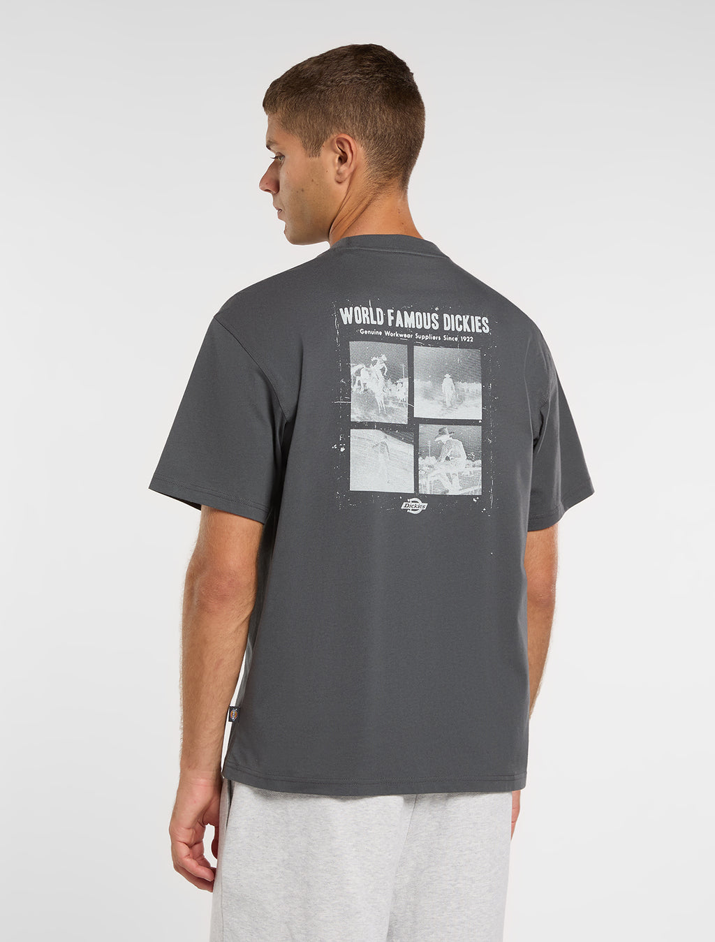 T-shirts korte mouw grijs Dickies