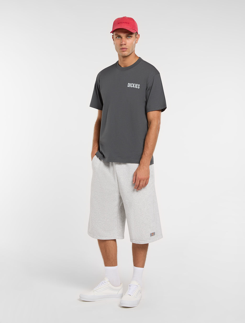 T-shirts korte mouw grijs Dickies