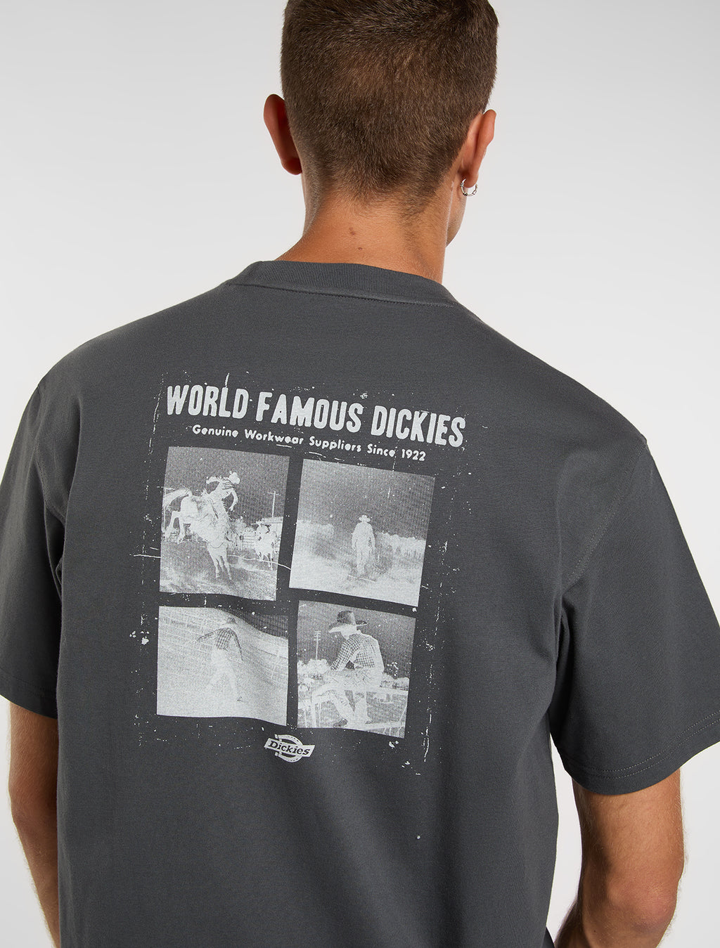 T-shirts korte mouw grijs Dickies