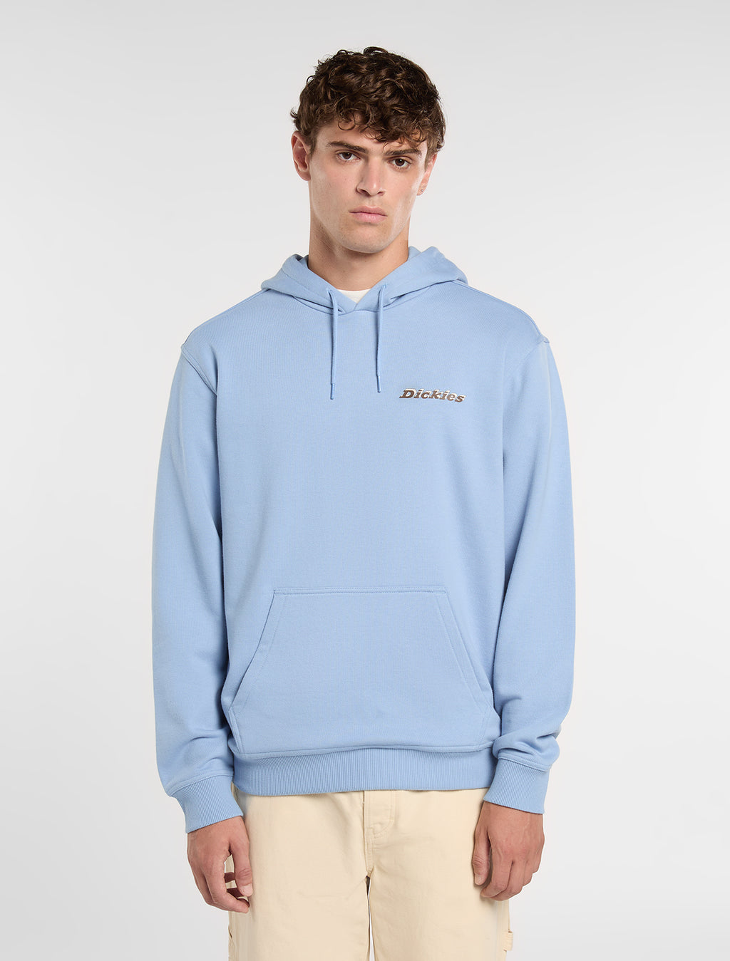 Sweaters blauw Dickies
