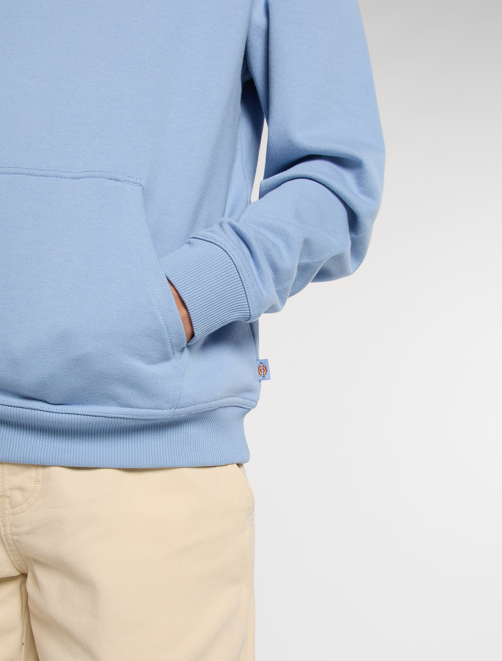 Sweaters blauw Dickies