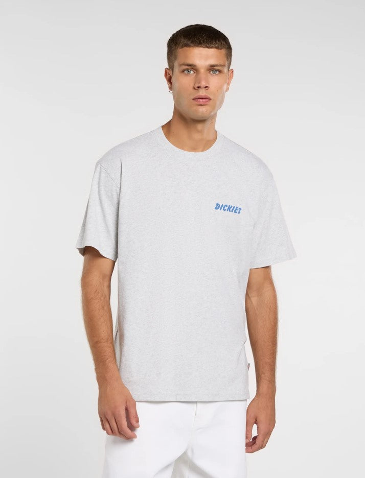 T-shirts korte mouw grijs Dickies