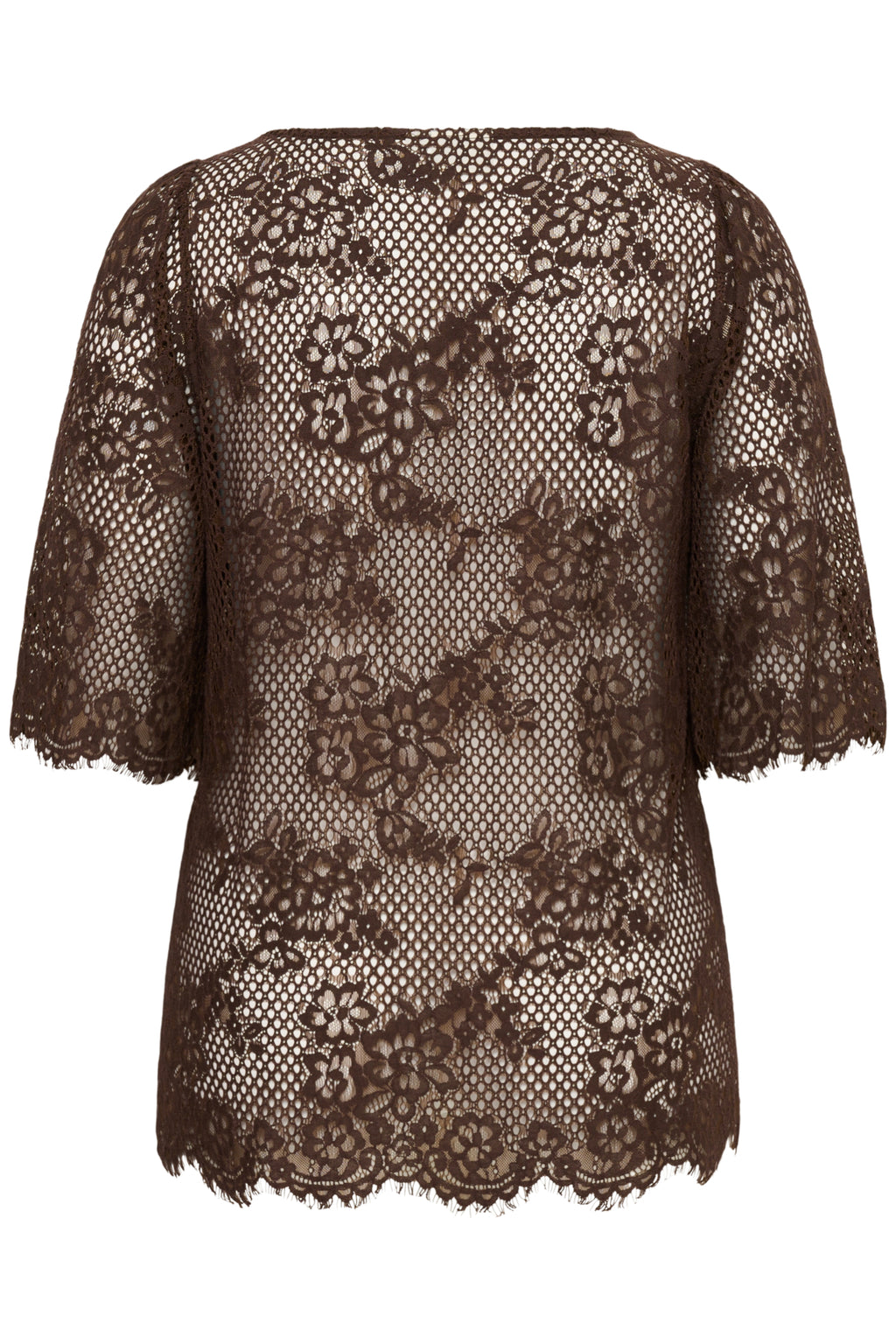 Blouses korte mouw bruin Kaffe curve