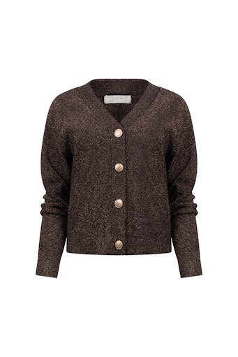 Cardigans bruin NUKUS