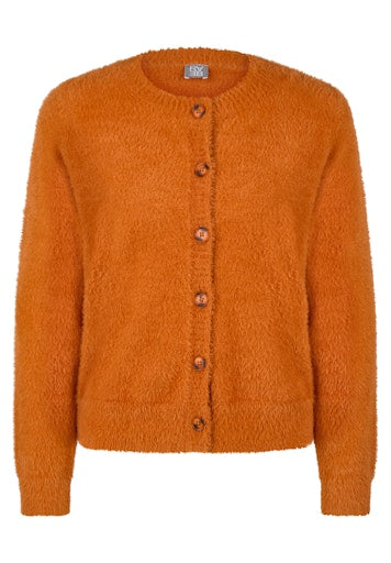 Cardigans bruin Rabe