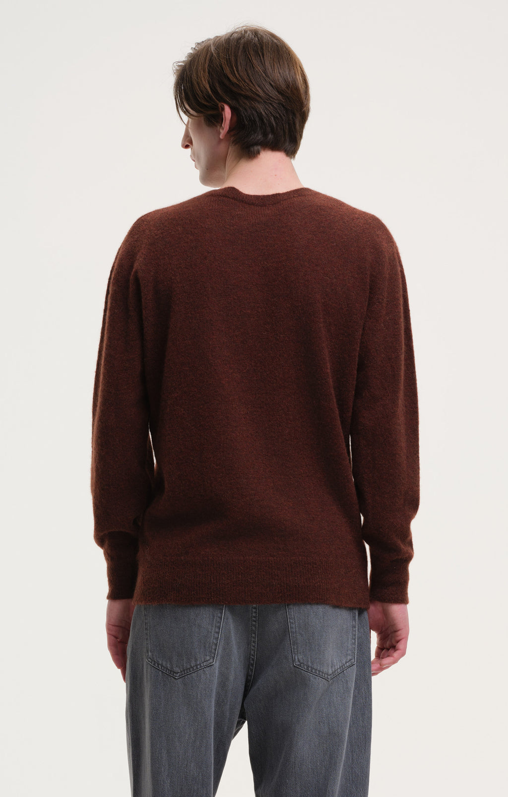 Pulls bruin CASTART