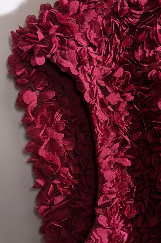 Blouses korte mouw bordeaux CKS