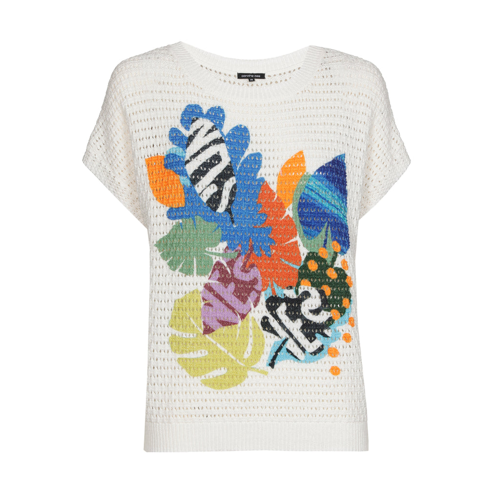 Pulls multicolor Caroline Biss