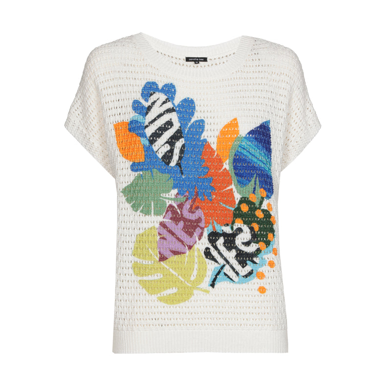 Pulls multicolor Caroline Biss