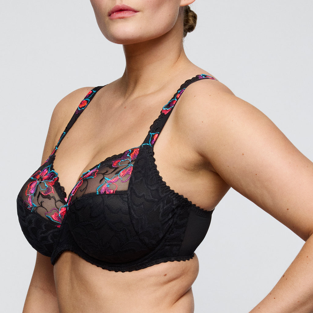 BH's multicolor Prima Donna