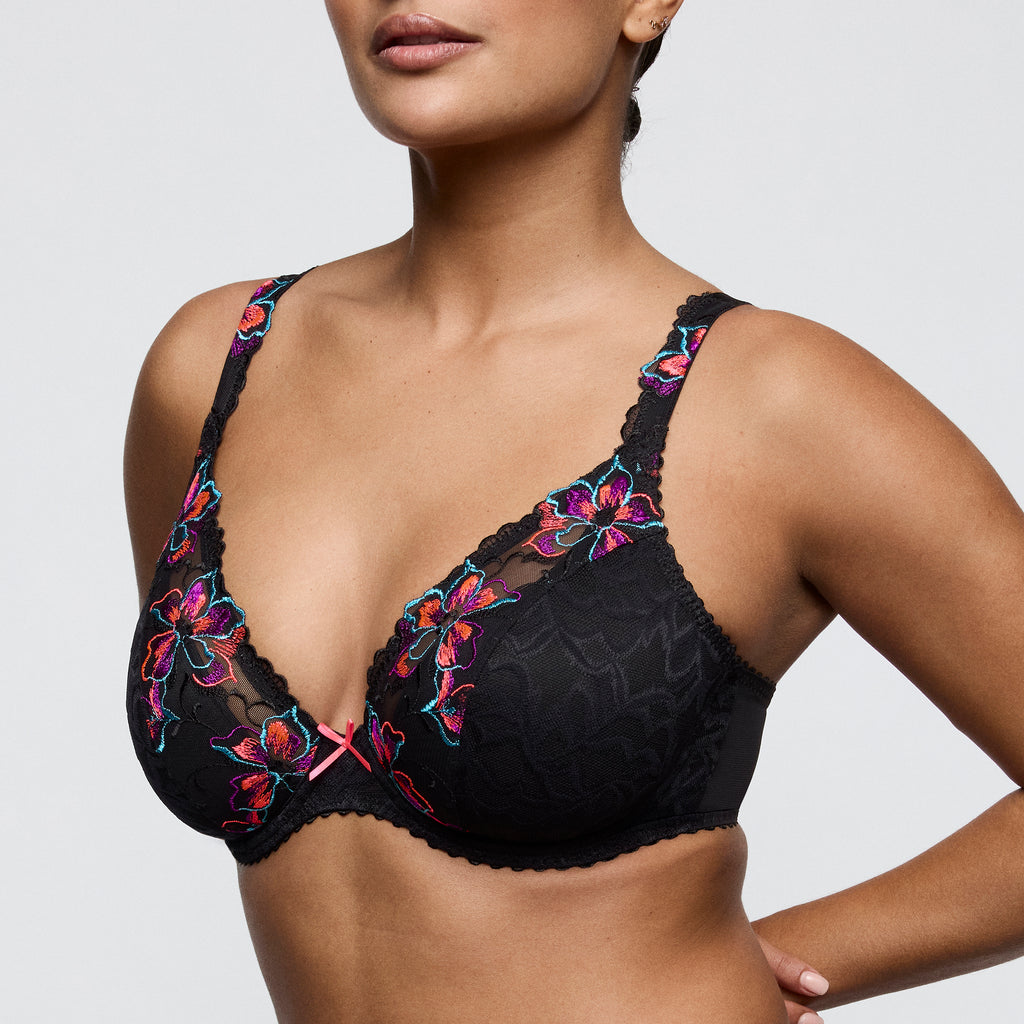 BH's multicolor Prima Donna