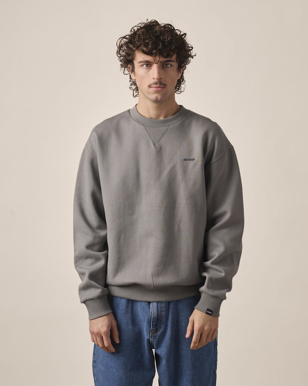 Sweaters grijs ANTWRP