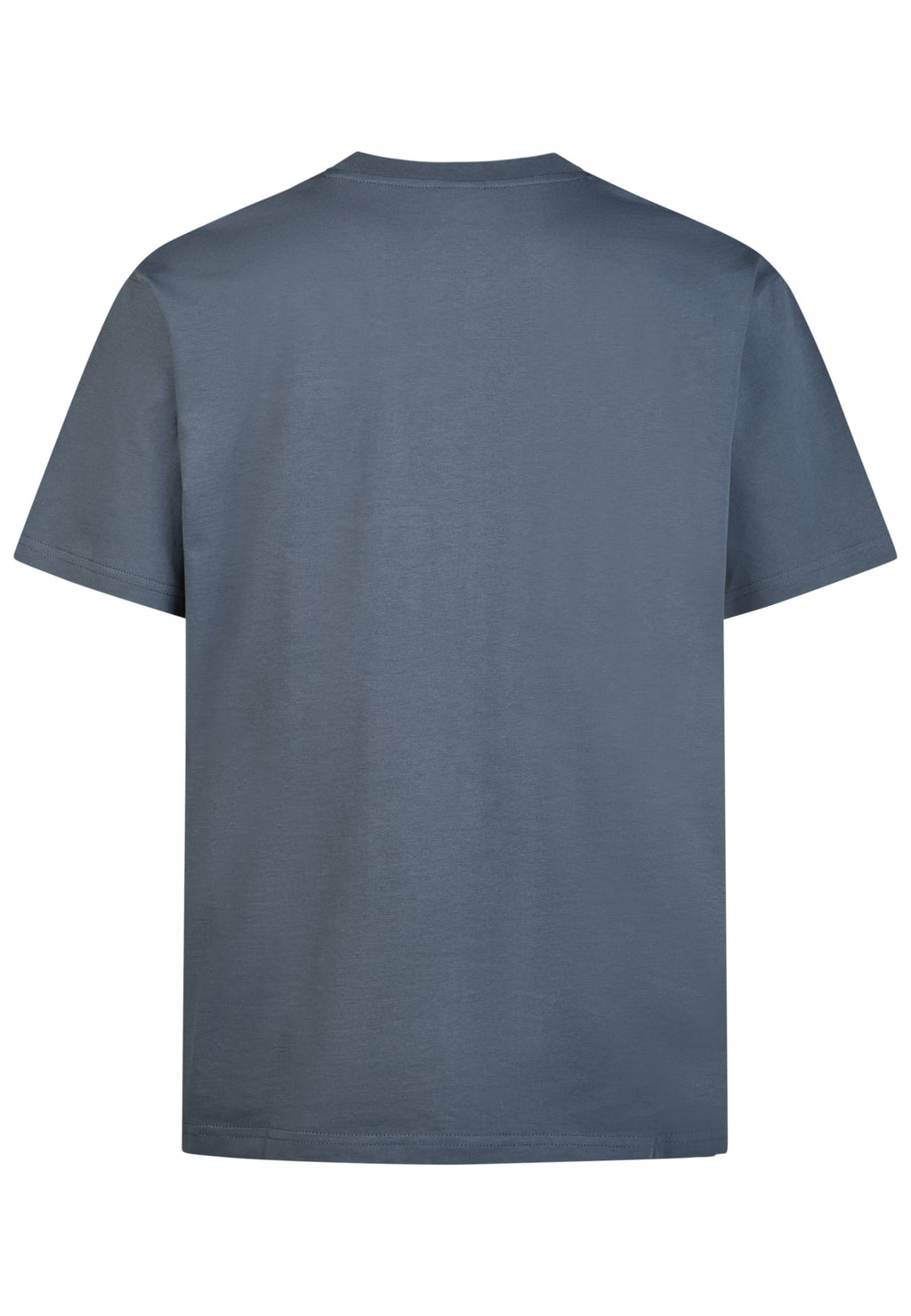 T-shirts korte mouw grijs Iriedaily