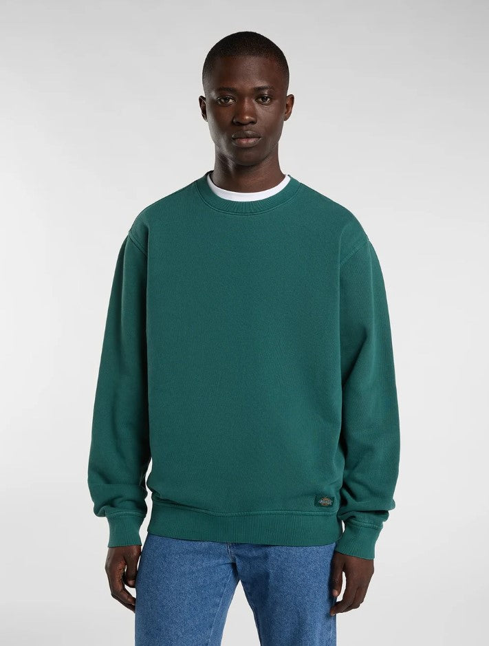 Sweaters groen Dickies