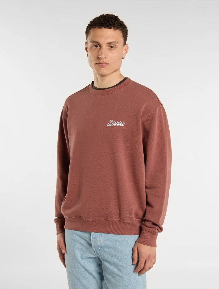Sweaters bruin Dickies