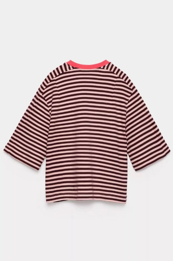 T-shirts korte mouw rood CKS