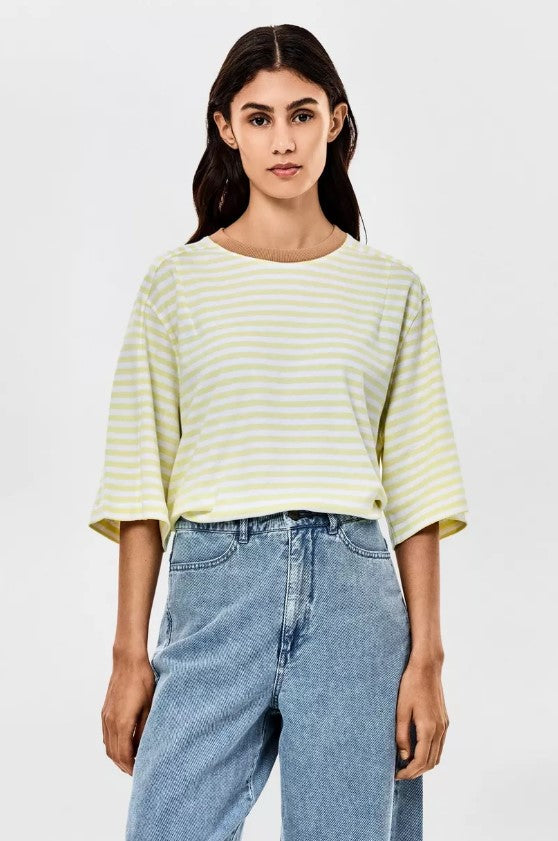 T-shirts korte mouw multicolor CKS