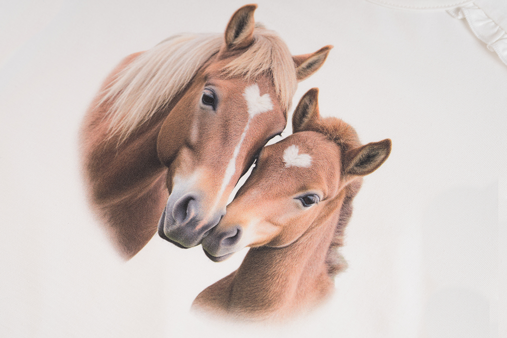 T-shirts lange mouw beige Someone