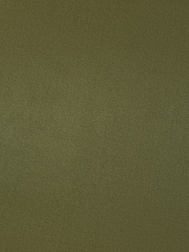 Hemden lange mouw groen Scotch & Soda