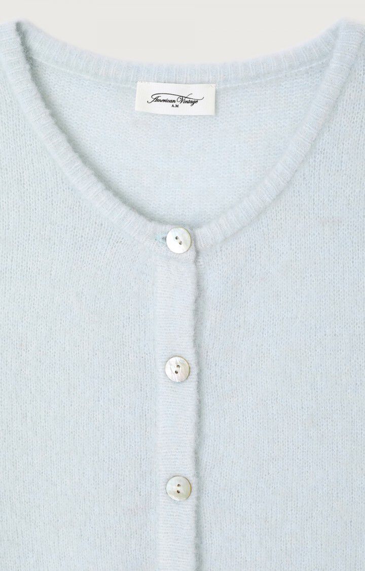 Cardigans blauw American Vintage