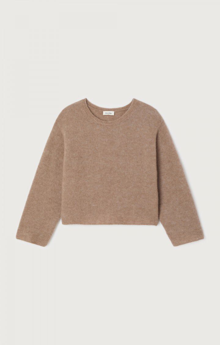 Pulls bruin American Vintage