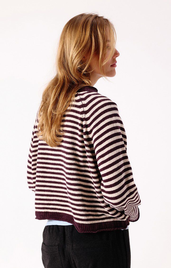 Pulls bordeaux American Vintage