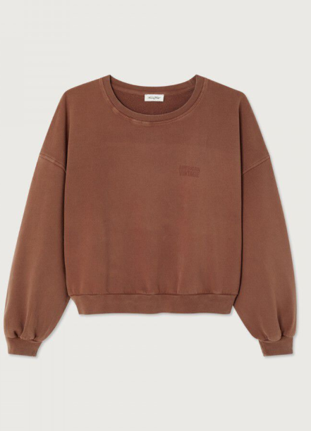 Sweaters bruin American Vintage