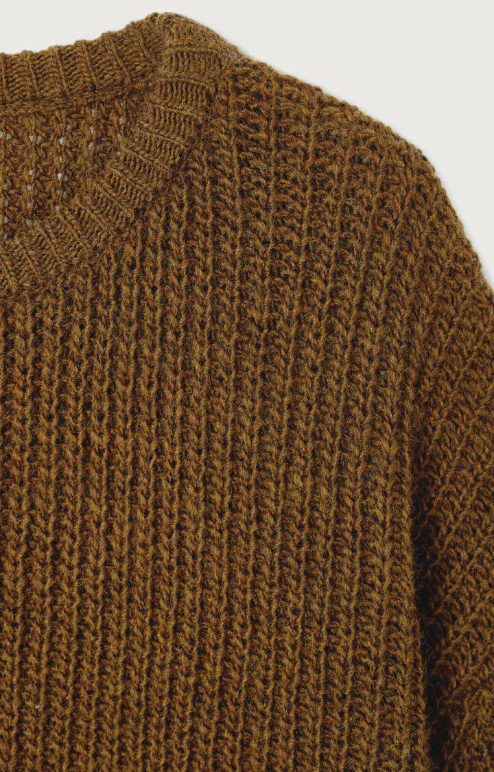Pulls bruin American Vintage