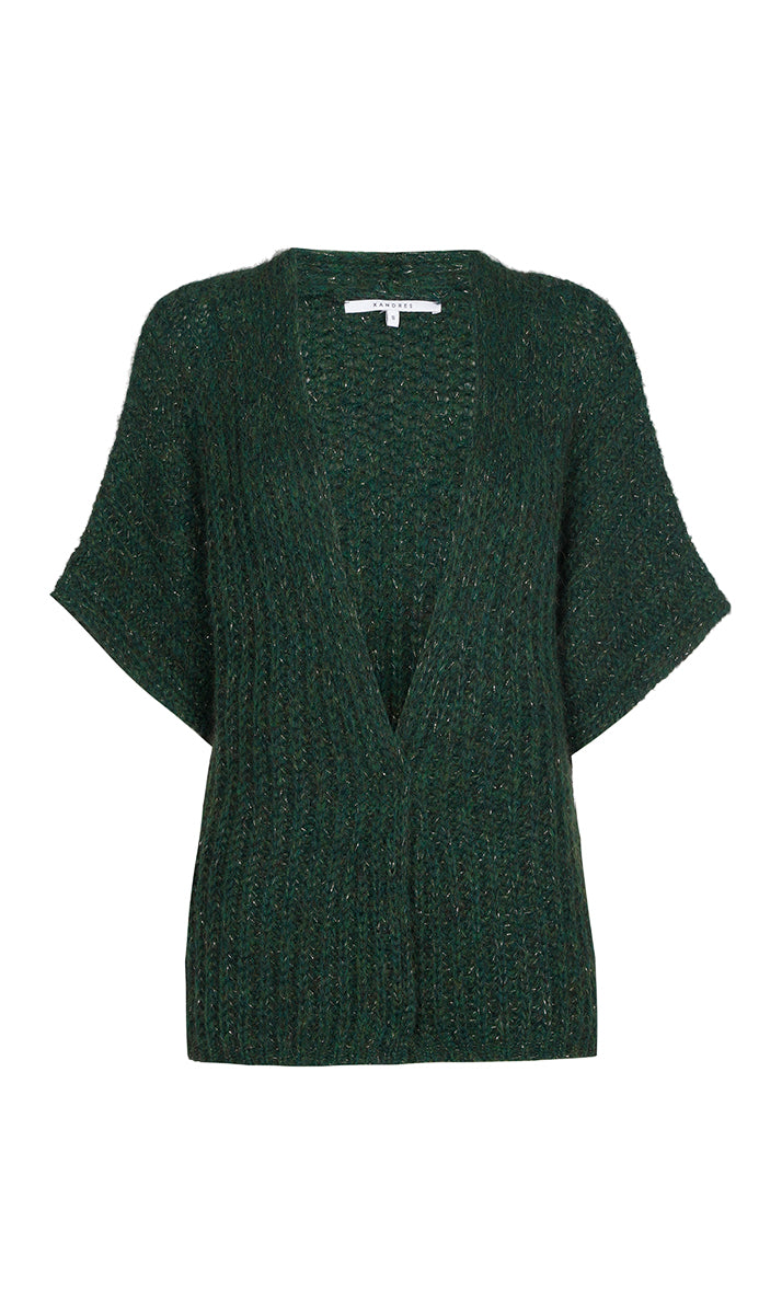 Cardigans groen Xandres