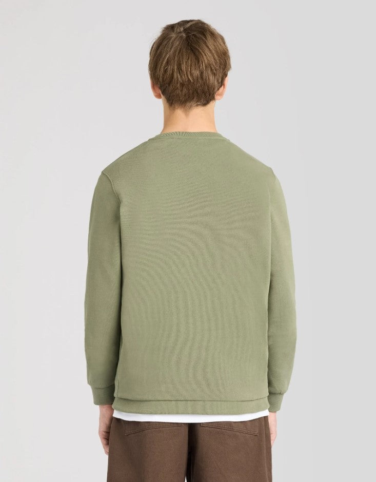Sweaters groen Lyle & Scott