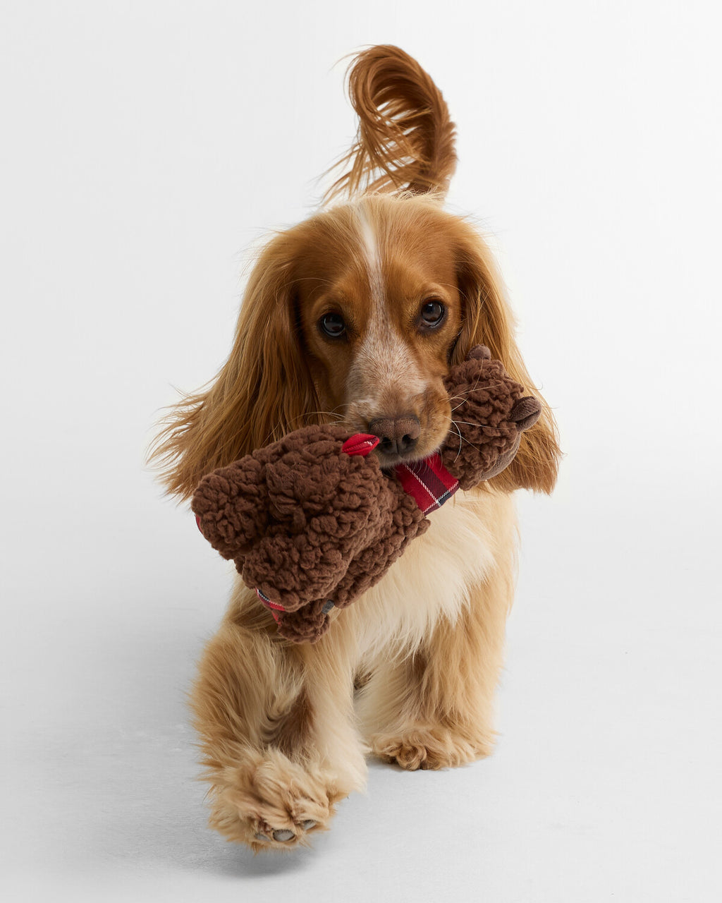 Accessoires bruin Barbour