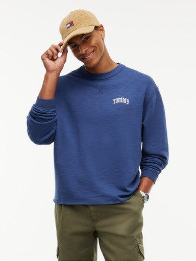 Pulls navy Tommy Hilfiger