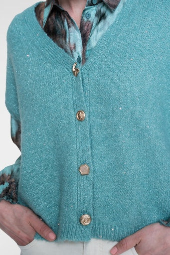 Cardigans blauw Geisha