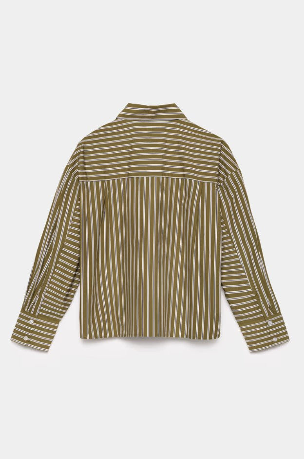 Blouses lange mouw groen CKS
