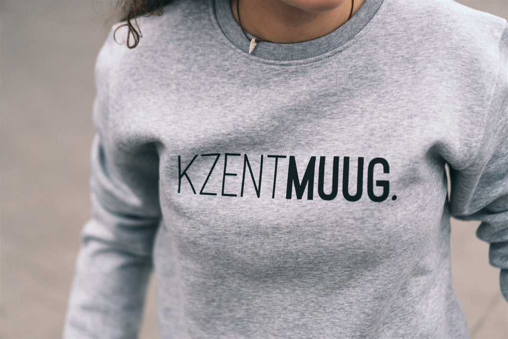Sweaters grijs KLEIR.