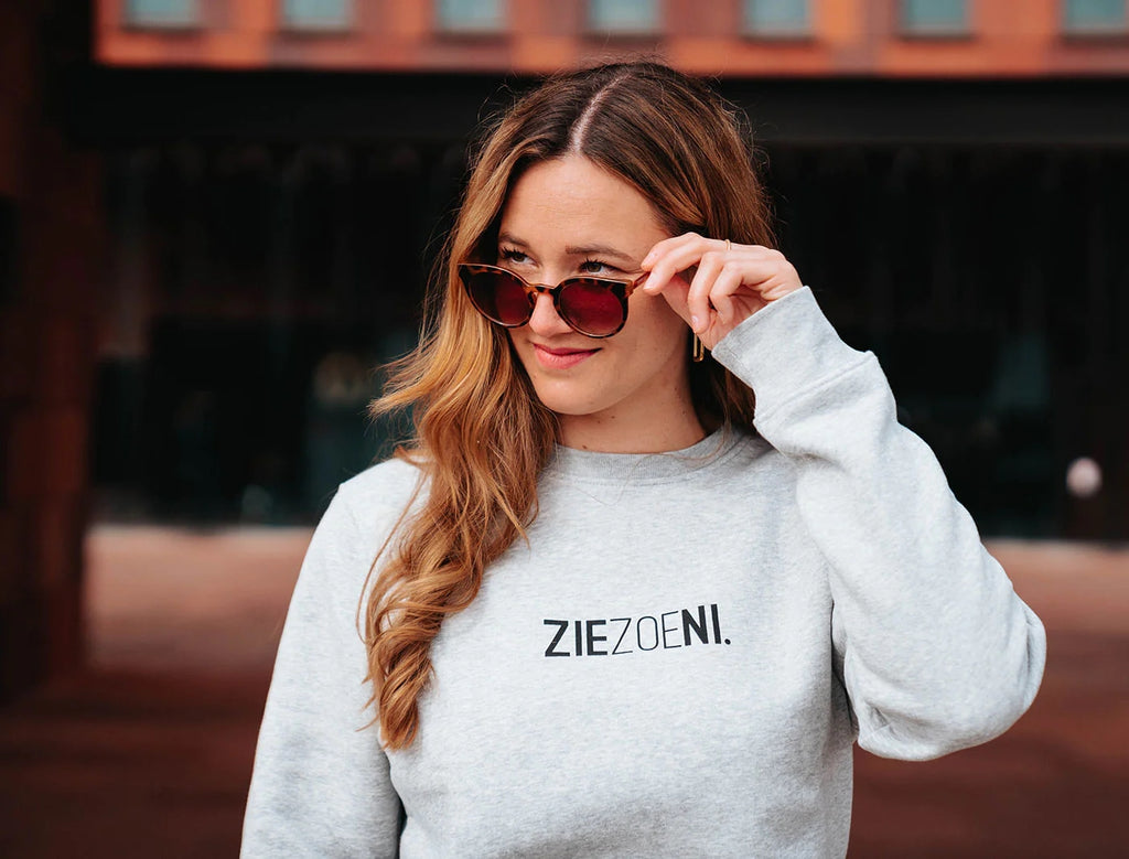 Sweaters grijs KLEIR.