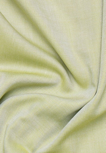 Hemden lange mouw groen ETERNA