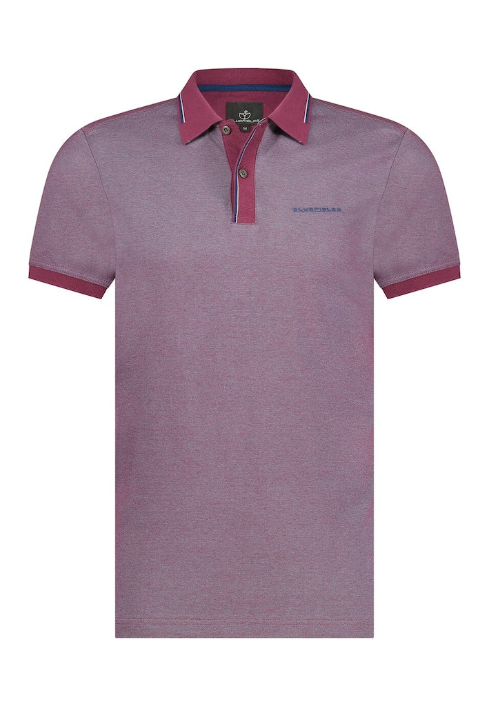 Polo's korte mouw multicolor BlueFields