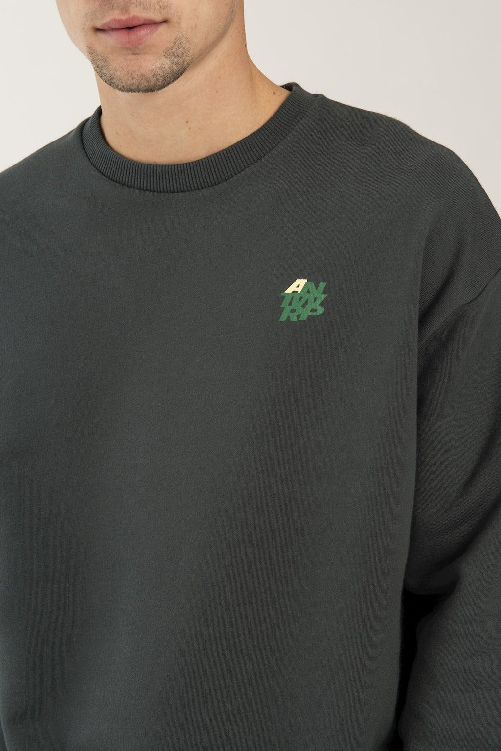Sweaters grijs ANTWRP