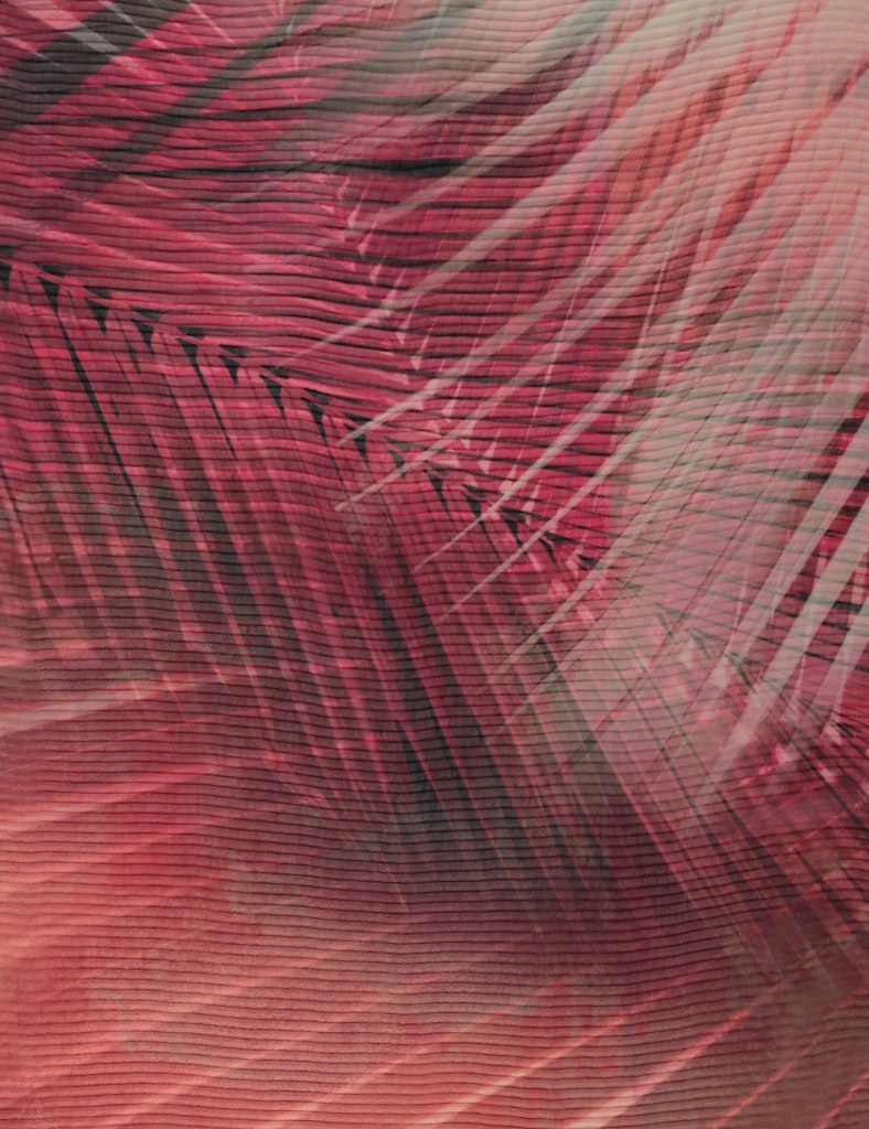 Sjaals rood GERRY WEBER